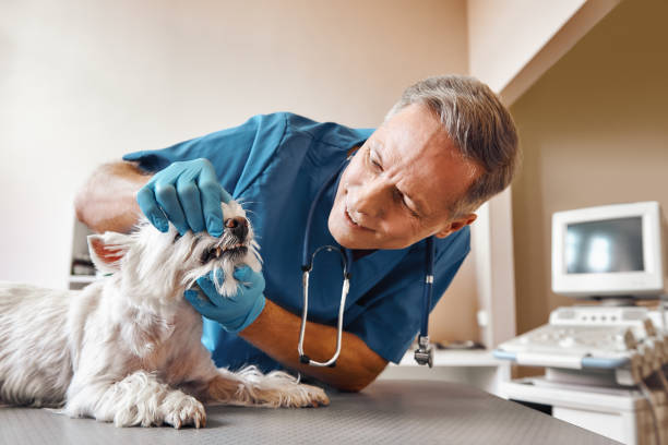Best After-Hours Emergency Dentist in Fort Riley, KS