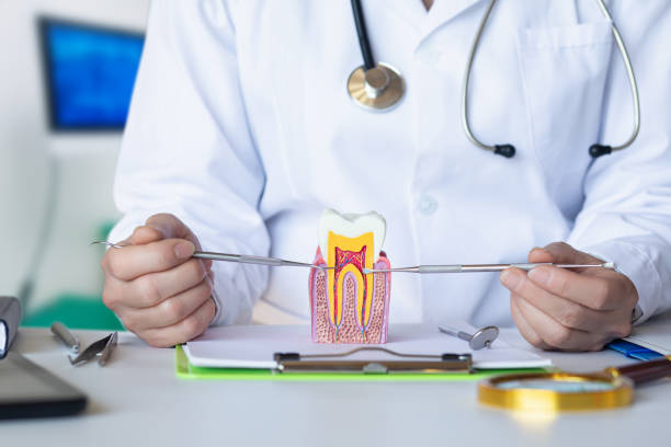 Best Emergency Orthodontic Repairs in Fort Riley, KS